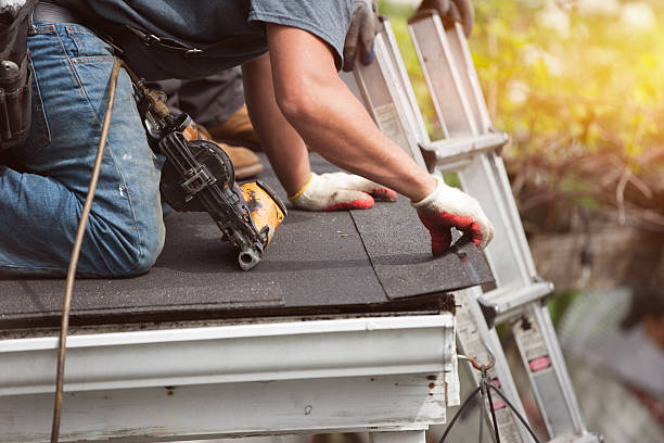 Best Flat Roof Repair Services  in Kittredge, CO